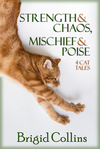 Cover of Strength & Chaos, Mischief & Poise