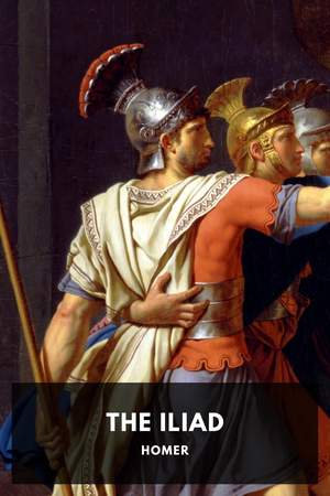The Iliad cover image.