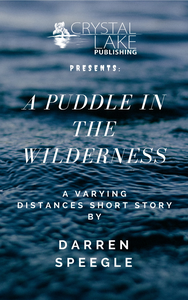 A Puddle In The Wilderness cover