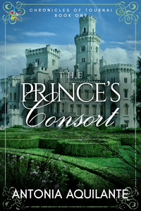 The Prince's Consort cover
