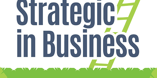 Be More Strategic In Business By Diana Thomas, Stacey Boyle - Libreture