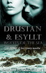 Drustan and Esyllt cover