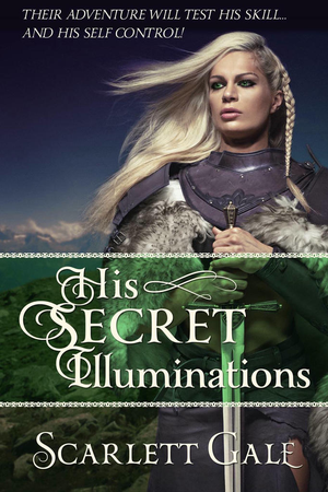 His Secret Illuminations cover image.
