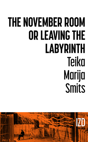 The November Room or Leaving the Labyrinth // IZ Digital cover image.