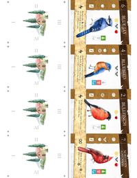 Birdscaping 18   Gutter Fold cover