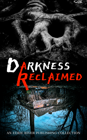 Darkness Reclaimed cover image.