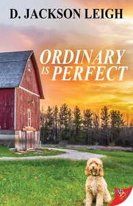 Ordinary is Perfect cover