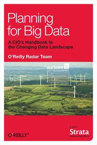 Planning for Big Data cover