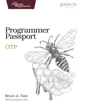 Programmer Passport: OTP cover image.