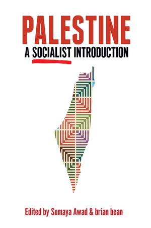 Palestine: A Socialist Introduction cover image.