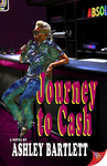 Journey to Cash cover