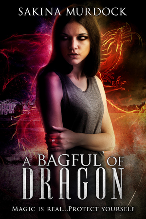 A Bagful of Dragon cover image.