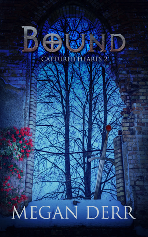 Bound cover image.