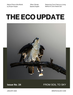 The Eco Update 24 cover image.