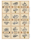 Count Of Nine Cards cover