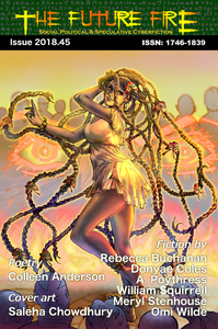 The Future Fire 45 cover