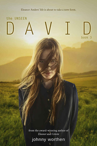 David: Book 3 (The Unseen) cover