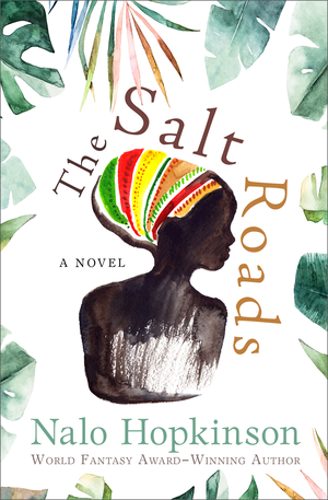 The Salt Roads cover image.