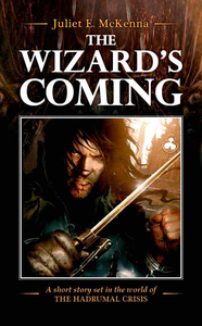 The Wizard's Coming cover