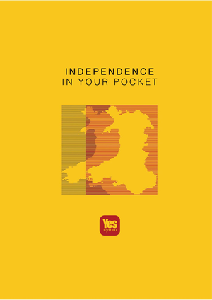 Independence In Your Pocket cover image.