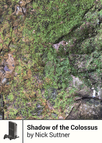 Shadow of the Colossus cover