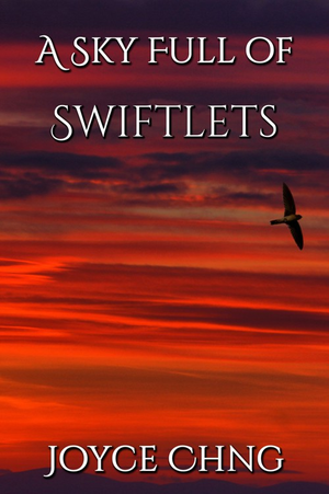 A Sky Full of Swiftlets cover image.