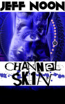 Channel Sk1n cover