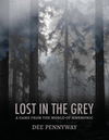 Lost In The Grey cover