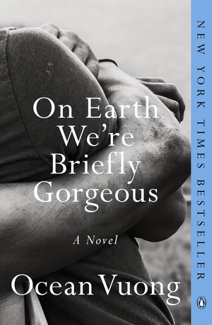 On Earth We're Briefly Gorgeous cover image.