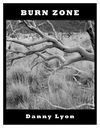 Burn Zone Blog cover