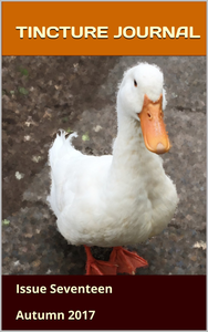 Tincture Journal Issue Seventeen (Autumn 2017) cover