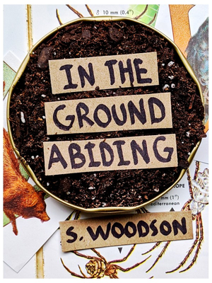 In the Ground Abiding cover image.