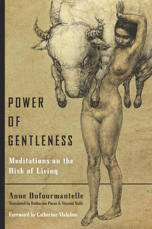 Power of Gentleness cover image.