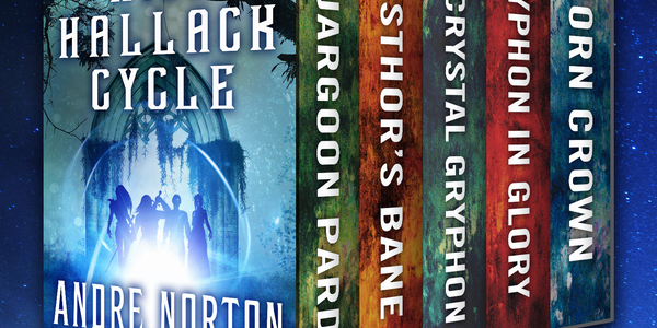 Witch World: High Hallack Cycle by Andre Norton - Libreture