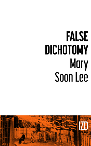 False Dichotomy // IZ Digital cover image.