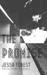 The Promise cover