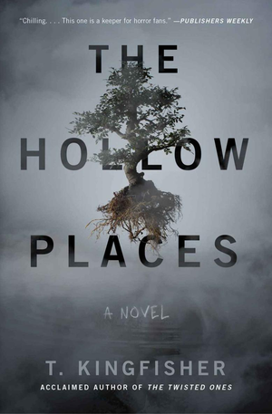 The Hollow Places: A Novel cover image.