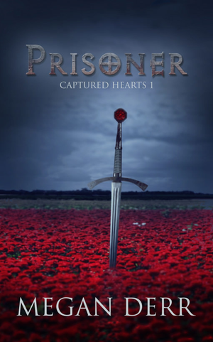 Prisoner cover image.