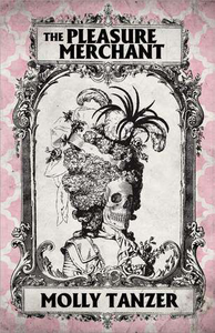 The Pleasure Merchant cover
