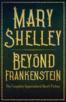 Cover of Beyond Frankenstein