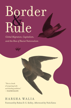 Border & Rule: Global Migration, Capitalism, and the Rise of Racist Nationalism cover image.