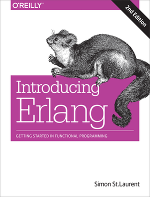 Introducing Erlang cover image.