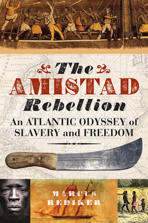 The Amistad Rebellion cover image.