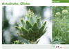 Cover of Vegetable Planting Guide