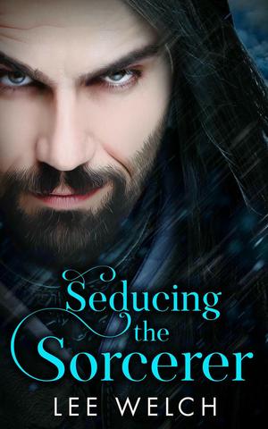 Seducing the Sorcerer cover image.