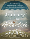 Journey To The Afterlife  Comforting Messages  Lessons From Loved Ones In Spirit  Pdfdrive  cover