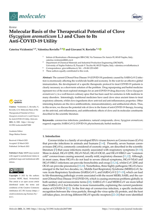 Molecular Basis of the Therapeutical Potential of Clove (Syzygium aromaticum L.) and Clues to Its Anti-COVID-19 Utility cover image.