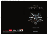 The Witcher Story cover