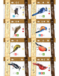 Birdscaping 18   Front Back Layout cover