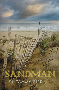 Sandman cover